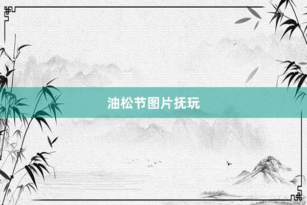 油松节图片抚玩