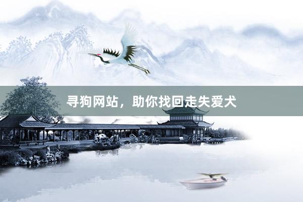 寻狗网站，助你找回走失爱犬