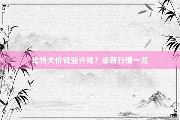 比特犬价钱些许钱？最新行情一览