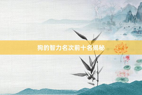 狗的智力名次前十名揭秘