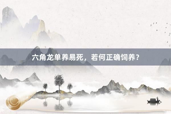 六角龙单养易死，若何正确饲养？